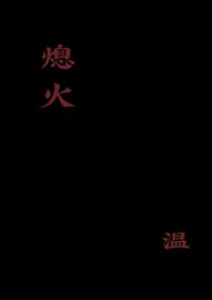 熄灭小说